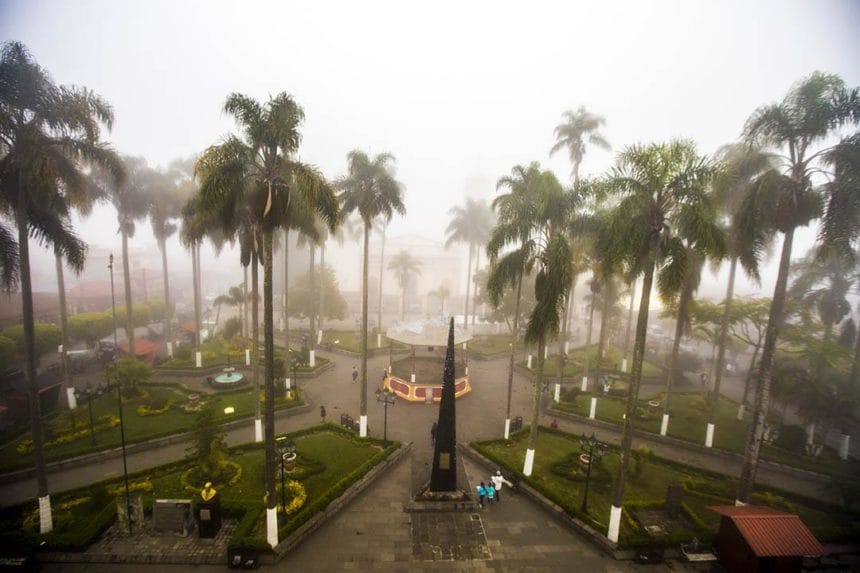 A foggy day in Juárez Park, Xalapa, with tall palm trees, lush gardens, and two people walking near a central black obelisk.