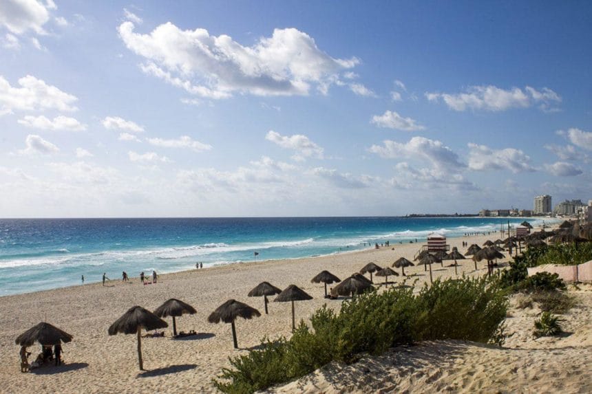 beach with umbrellas and bushes