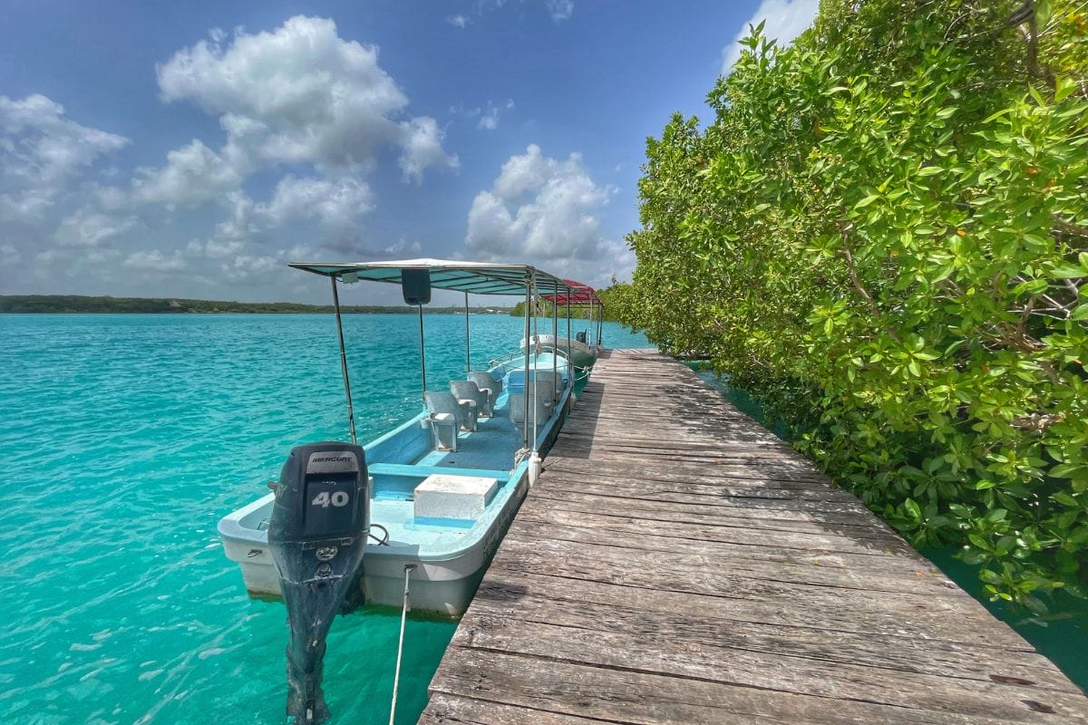 Kin ha colors platform