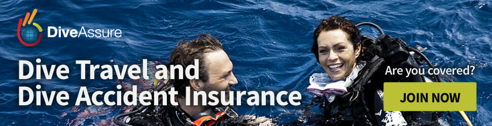 Dive Insurance Banner