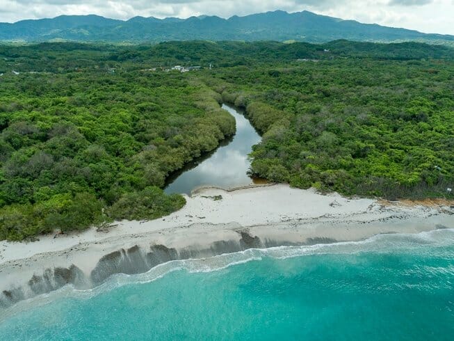 Wild Mex Surf Camp Sayulita