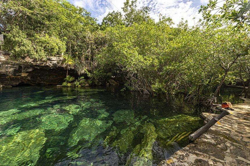 Cenote Cristalino Mangroves
