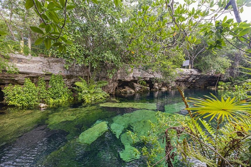 Cenote Cristalino Overview transparent water